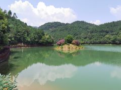 -广州白江湖森林公园