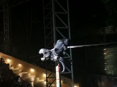 -清迈夜间动物园