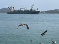 -海驴岛(荣成市)