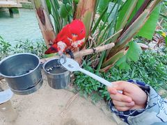 -南宫五洲植物乐园