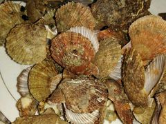 android_upload_pic-抹直口特色菜馆(一店)