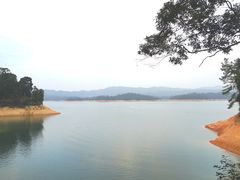 -广州市流溪河国家森林公园