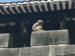 -白帝城·瞿塘峡景区