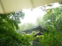 出水芙蓉-宋宴(虎跑店)