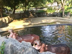 -清迈夜间动物园