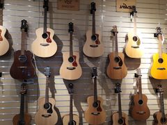 -柏斯音乐艺术中心·钢琴·吉他(世纪金源店)