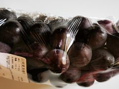 -T11生鲜超市(朝阳公园店)