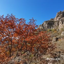 【青虛山】電話,地址,價格,營業時間(圖) - 唐縣周邊遊 - 大眾點評網