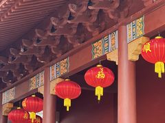 -深圳仙湖植物园