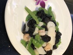 -云中小雅