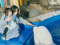 -大连圣亚海洋世界