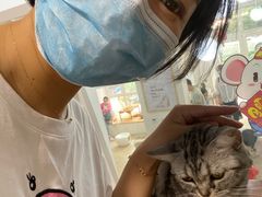 -李小姐の猫咖啡馆(五角场店)