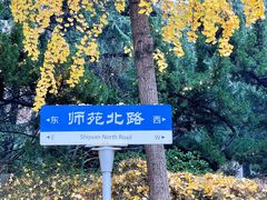-山东师范大学(千佛山校区)
