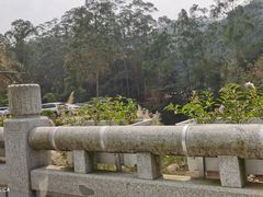 -广州白江湖森林公园