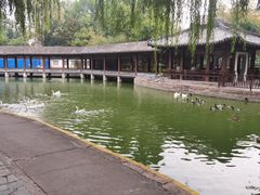 -团结湖公园