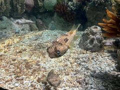 -福州罗源湾海洋世界旅游区