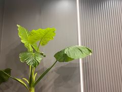 -隐厨·海鲜餐厅(恒通路店)