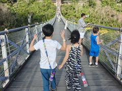 -呀诺达热带雨林