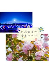 -麦粒鸟亲子游