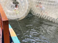 -南湖梦幻岛