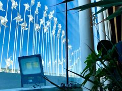 -Seesaw Coffee(朝阳大悦城店)