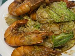 -陶然饺子城(奥体中路店)