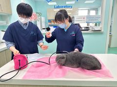 -北京观赏动物医院·24小时大型综合·猫专科·异宠专科