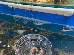 -四海蒸鲜蒸汽海鲜自助(北戴河店)