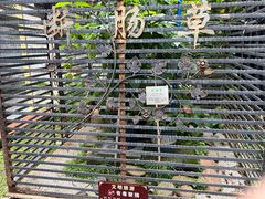 -广州神农草堂中医药博物馆