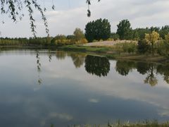 -东郊湿地公园