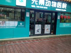 -瑞派动物医院·绝育·犬猫全科·预防医学(光景江南中店)