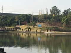 -美兰湖景区