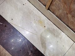 -肥肥牛鲜蚝海鲜自助(红山店)