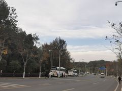 -青龙山国家森林公园