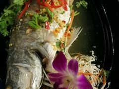 -Onion restaurant