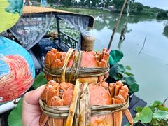 -水岸居湖景农家乐·阳澄湖大闸蟹