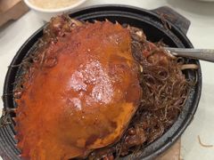 -新吉士·上海菜(浦东LCM置汇旭辉店)