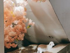 -毛辣果·贵州红酸汤牛肉火锅(西单店)
