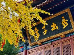 -宝通禅寺