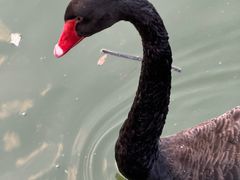 -春晖园度假酒店温泉