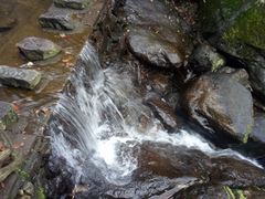 -东天目山风景区