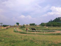 -仙海旅游度假区