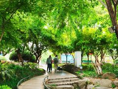 -桂林市榕杉湖景区