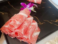-菌子鲜汤野生菌锅