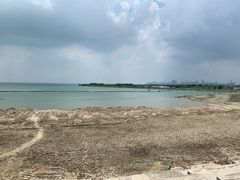 -合肥滨湖国家森林公园