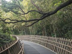 -福道