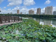 -南宁南湖公园