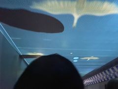 -白鹤梁水下博物馆