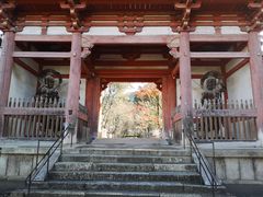 -醍醐寺