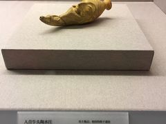 -北京大学赛克勒考古与艺术博物馆